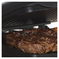Petra PT4366MBLKVDE Health grill black