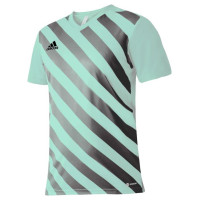 Adidas T-shirt adidas Entrada 22 Graphic Jersey M HF0119 (S)