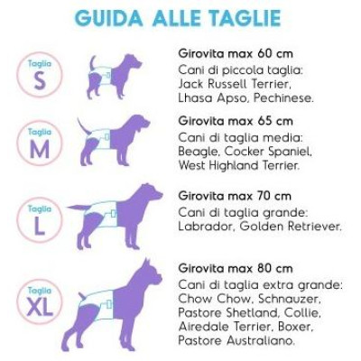 Record Autiņi suņiem AssorbiPiu XL 12gb.