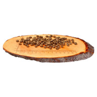 Carnilove Fresh Ostrich & Lamb for small breed 6 kg barība suņiem