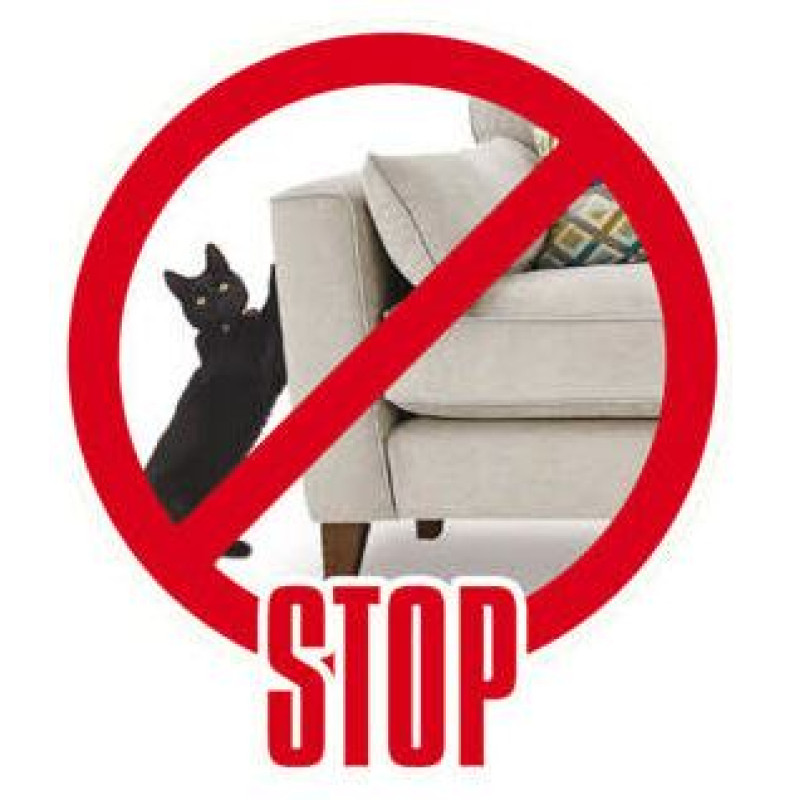 Georplast Nagu asināmais kartona Graffio cm.50 x 12 x 5 h