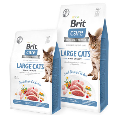 Brit Care Cat GF Large cats Power&Vitality (Fresh Duck&Chicken) 2 kg
