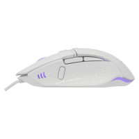 Baracuda BGM-051 Raptor White