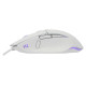 Baracuda BGM-051 Raptor White