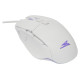 Baracuda BGM-051 Raptor White