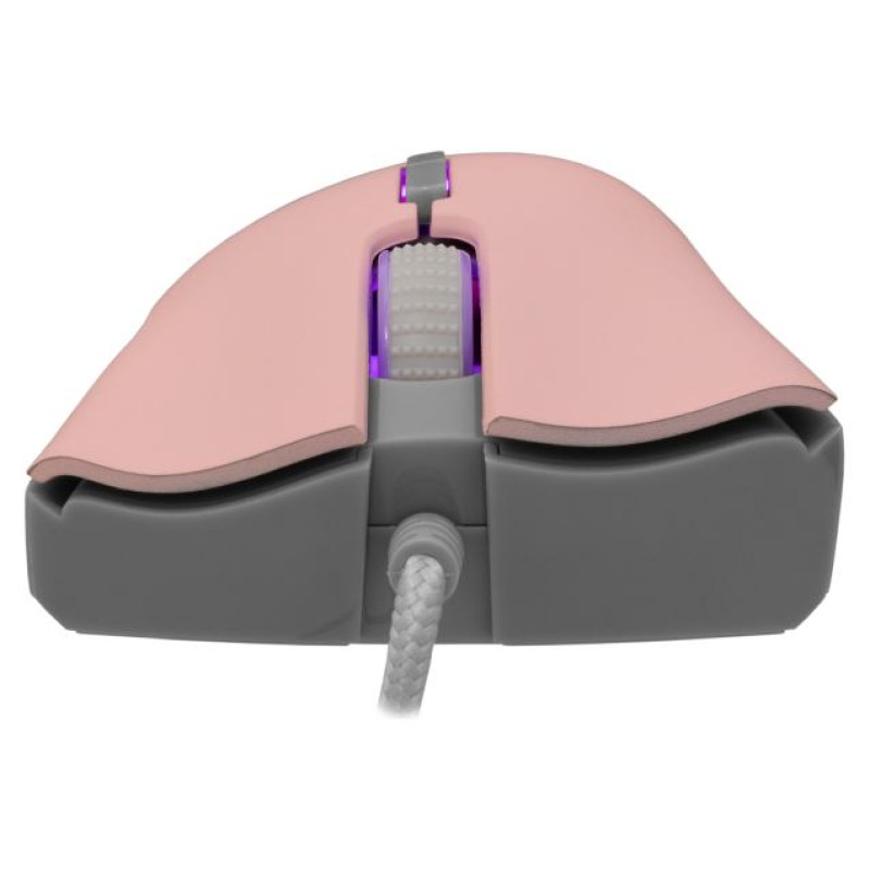 Baracuda BGM-084 Lobster Pink