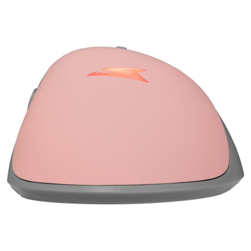 Baracuda BGM-084 Lobster Pink