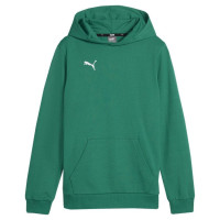 Puma Team Goal Casuals Hoddy Jr sweatshirt 658619 05 (116cm)