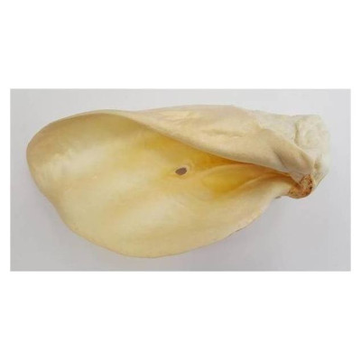 Laikas Gardums Liellopu ausis (baltas), gab.