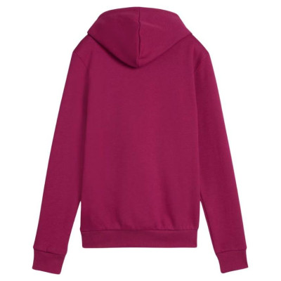 Puma ESS Logo Hoodie FL W 586789 52 (XS)