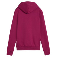 Puma ESS Logo Hoodie FL W 586789 52 (XS)