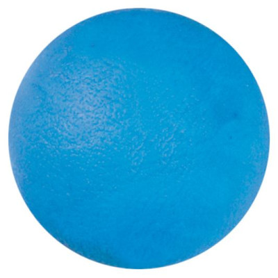 Record Rotaļlieta suņiem Gumijas Bumba d=6,5cm