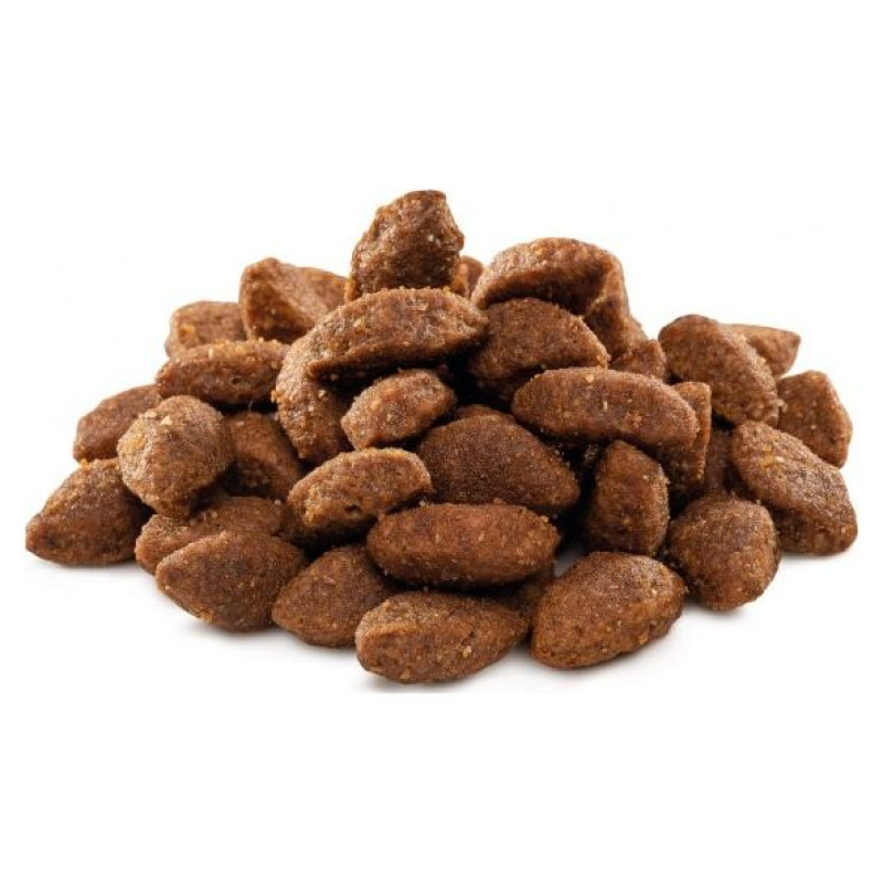 Brit PREMIUM By Nature Sport 15 kg barība suņiem