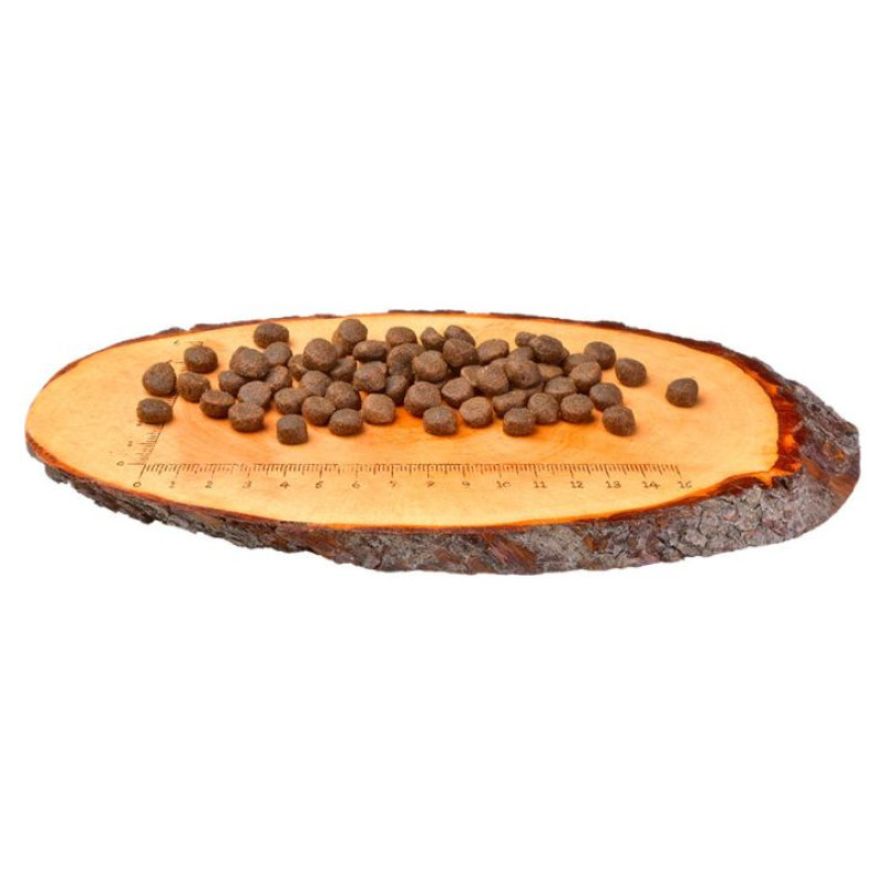 Carnilove Duck & Turkey Large Breed Cats 2 kg barība kaķiem