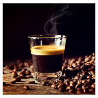 Progress EK4068PBLK-VDE Ombre Coffee Maker