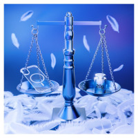 3Mk Protection 3mk Just20g MagCase for iPhone 16 - transparent