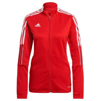 Adidas Sweatshirt adidas Tiro 21 Track W GM7305 (XS)