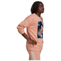 Adidas Youforyou Sweatshirt W HA2431 (S)