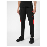 4F Trousers 4F M 4FSS23TFTRM294 62S (XXL)