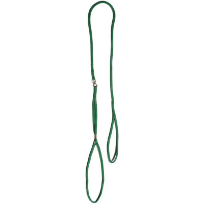 Record Neilona virvju pavada un kakla siksna 120x0,3 cm