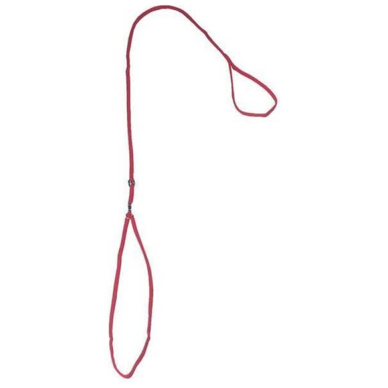 Record Neilona virvju pavada un kakla siksna 120x0,3 cm