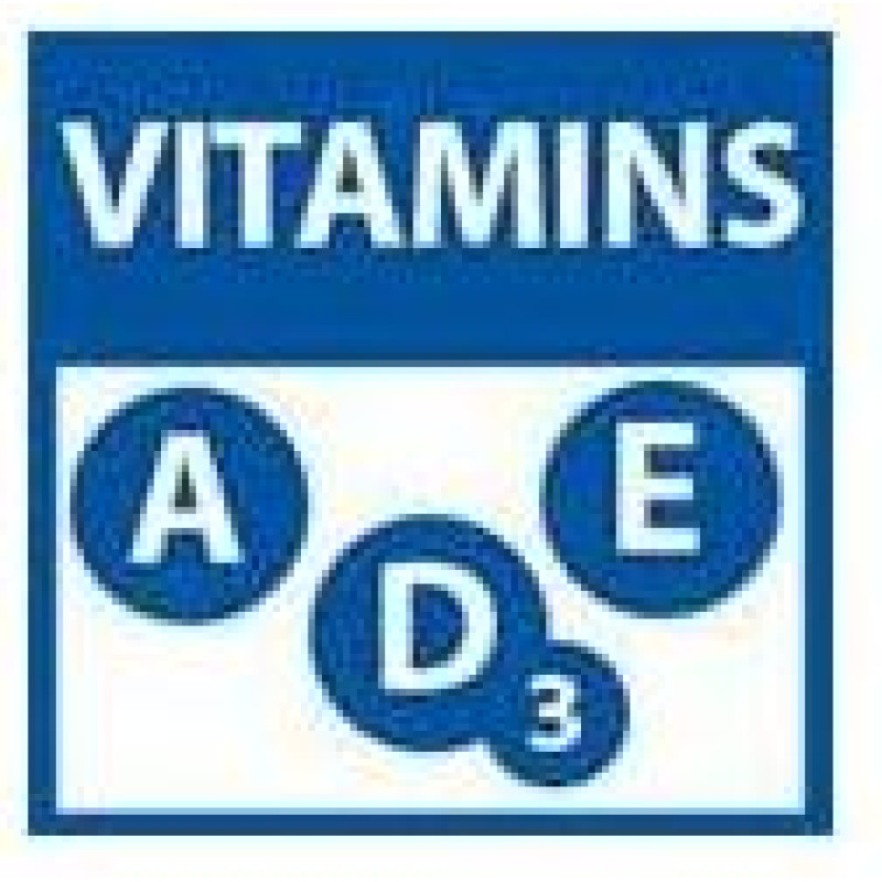 Monge Dog Monoprotein Fruits Pate Turkey with Citrus Fruits 150 g