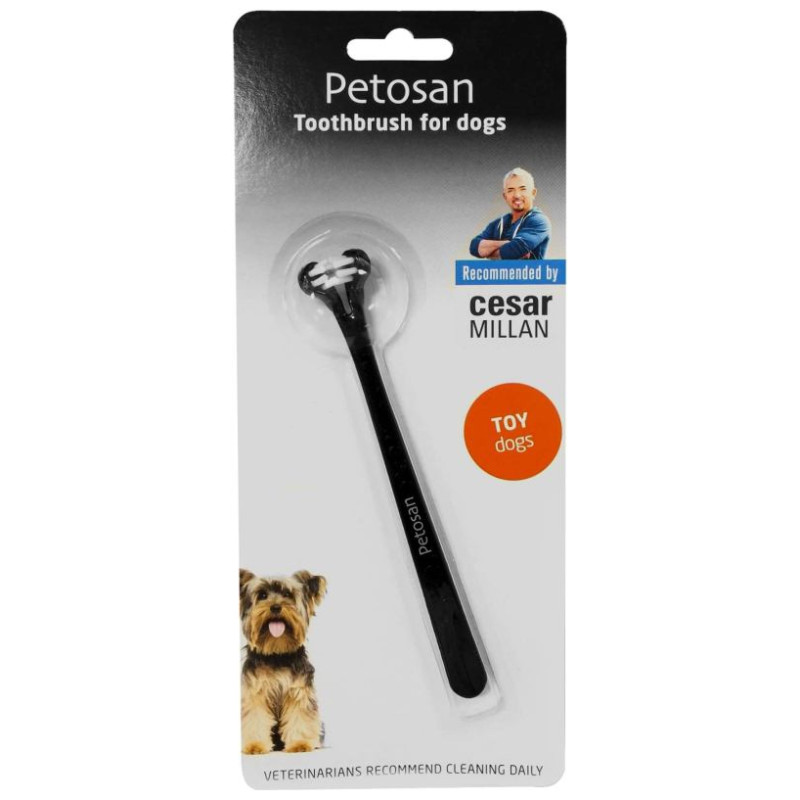 Petosan zobu sūka Toy dog līdz 3kg