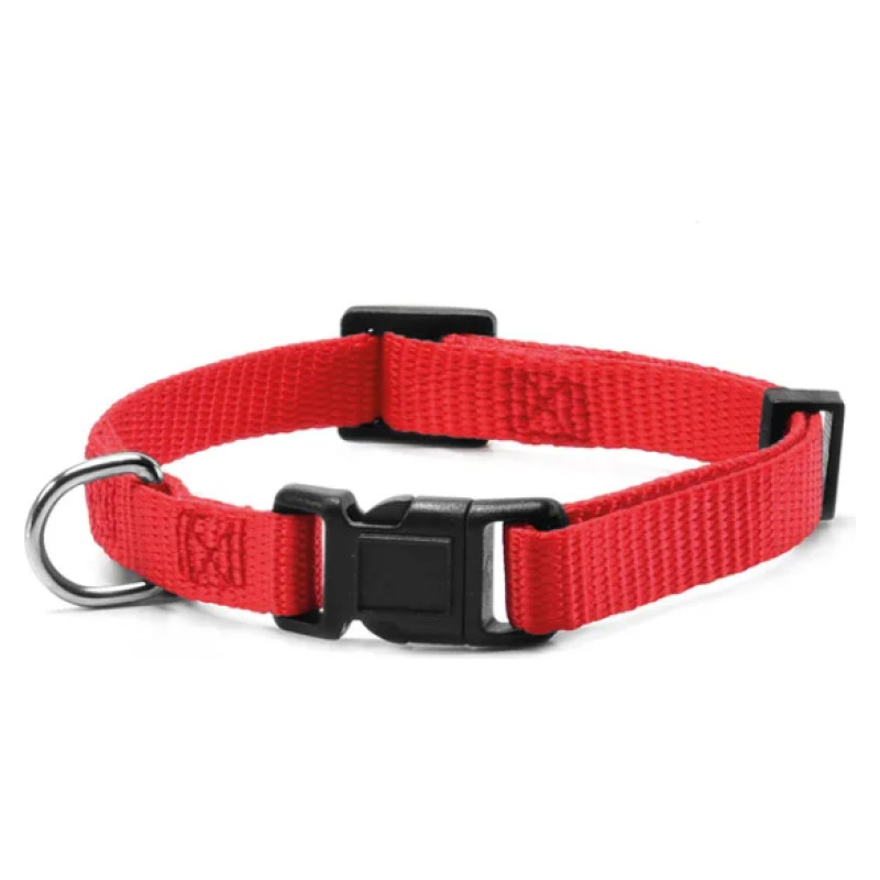 Record Kakla siksna regulējama 2 x40-53 cm sarkana