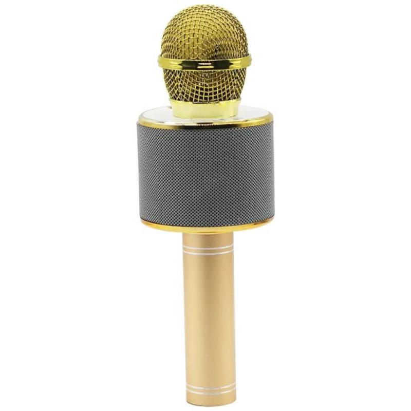Manta MIC10-G Gold