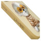 Nimmy Glasses Cool Case for iPhone 15 Pro - Beige