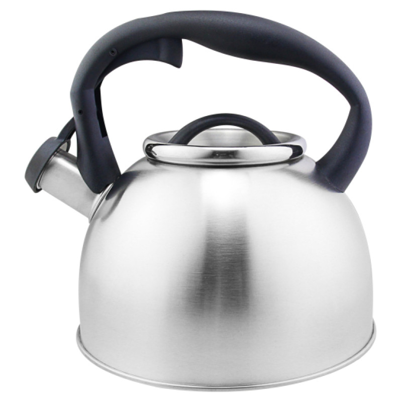 Floria ZLN1269 Tējkanna ar svilpi 3L