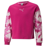 Puma Sweatshirt Puma Alpha Crew TR Jr 846941 14 (116cm)