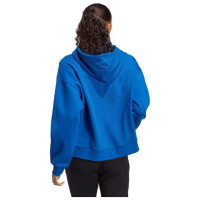 Adidas Sweatshirt adidas Tiro 23 Competition Cotton Hoodie W IC4617 (XS)