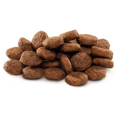 Brit PREMIUM By Nature Junior L 15 kg barība kucēniem