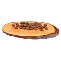 Carnilove Salmon & Turkey Large Breed Puppy 1,5 kg barība suņiem