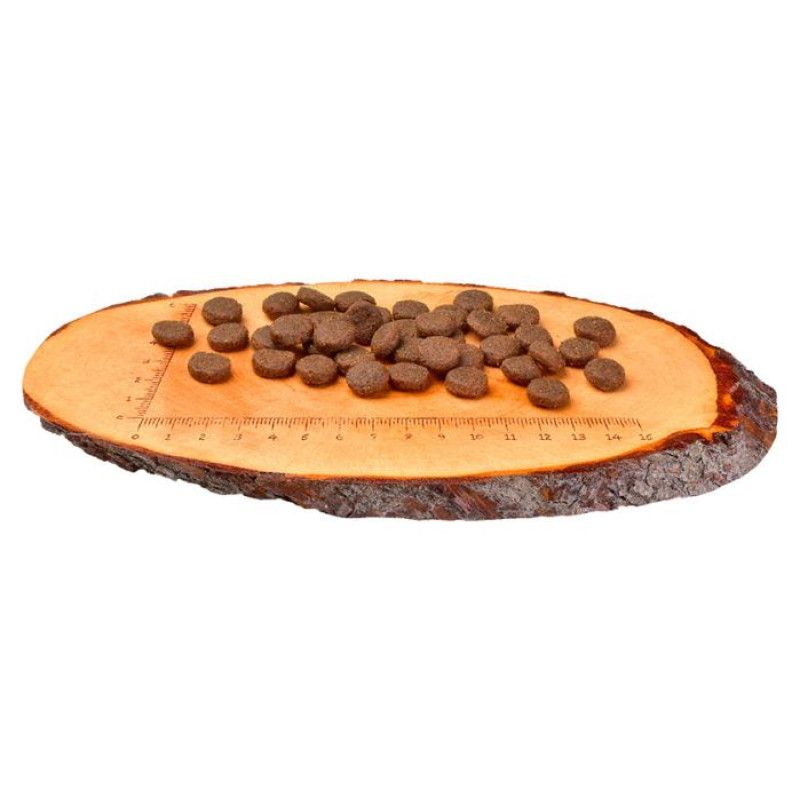 Carnilove Salmon & Turkey Large Breed Puppy 1,5 kg barība suņiem