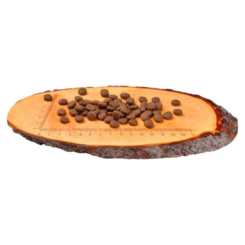 Carnilove Salmon & Turkey Puppy 12kg barība suņiem