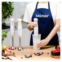 Zelmer ZHB4561I Pulsar Deluxe