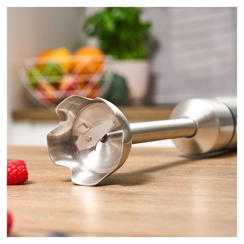 Zelmer ZHB6000 Smart