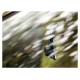 Tracer 47196 2.2D FHD Tucana Dash Can