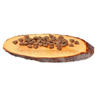 Carnilove Salmon for Adult 12 kg barība suņiem