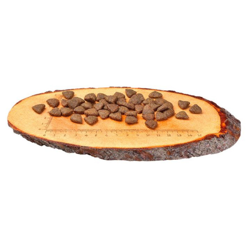 Carnilove Salmon for Adult 12 kg barība suņiem