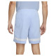 Nike Dri-Fit Academy Shorts M CW6107-548 (M)