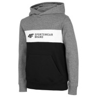 4F Jr HJZ22 JBLM003 24M sweatshirt (122)